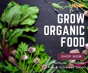 grow organic food seeds 1 of 2